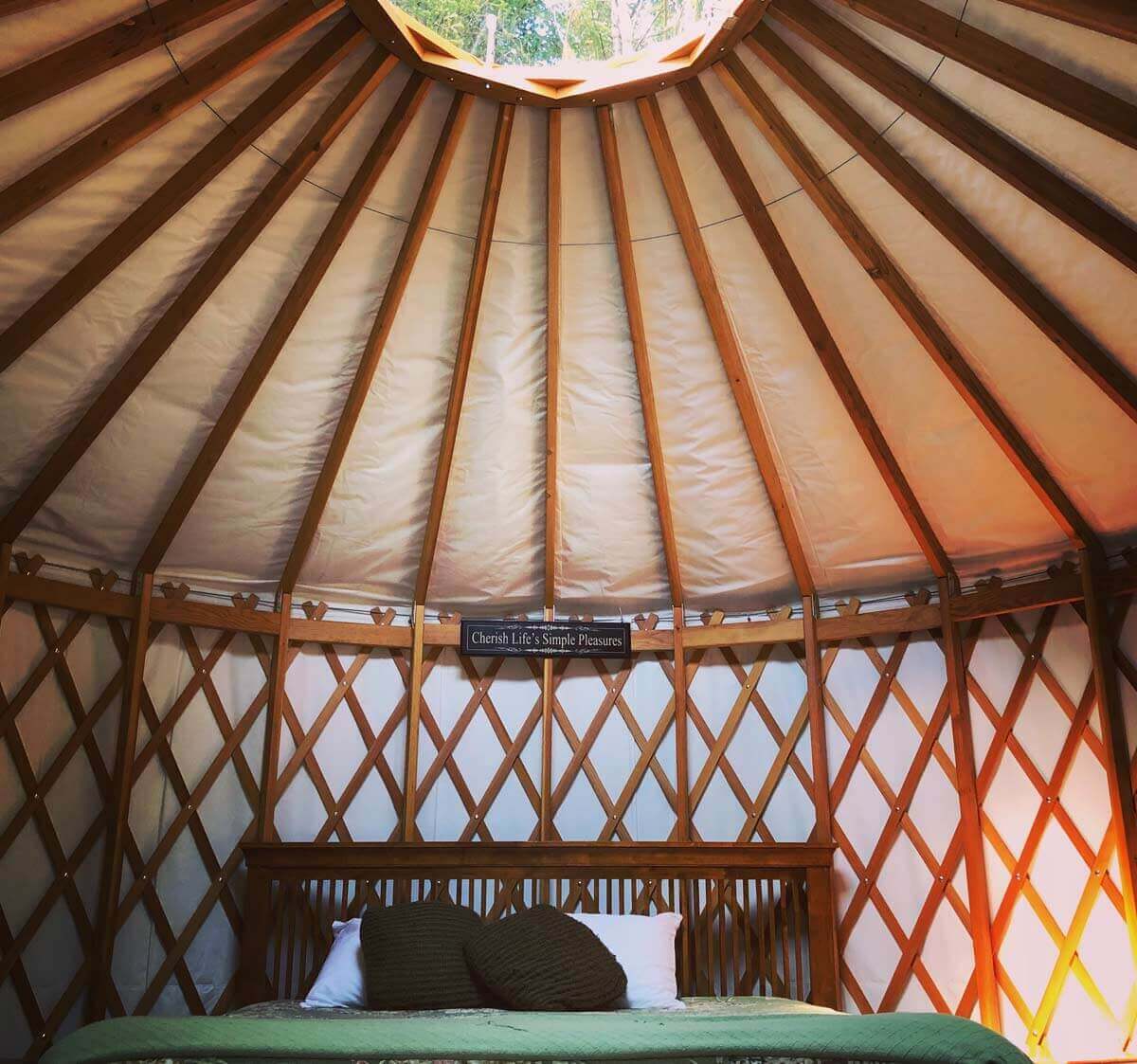 Inside One of Our Casey Yurt Site