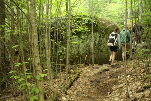 Man and a Woman Walking Through the Woods on a Trail